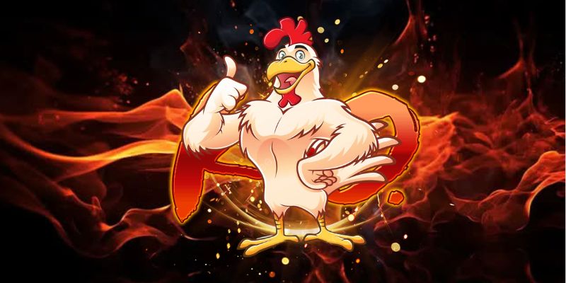 Hướng dẫn cá cược đá gà tại 8XBET
